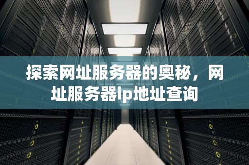 探索网址服务器的奥秘，网址服务器ip地址查询