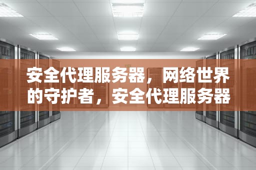 安全代理服务器，网络世界的守护者，安全代理服务器是什么