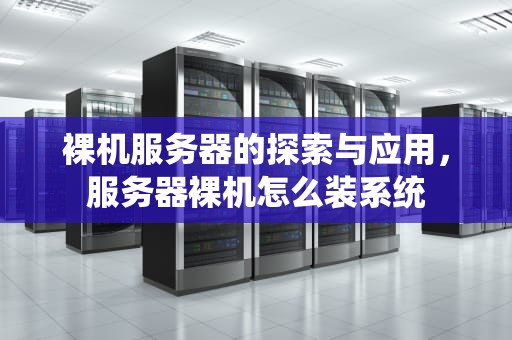 裸机服务器的探索与应用，服务器裸机怎么装系统