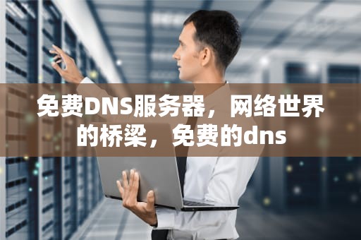 免费DNS服务器，网络世界的桥梁，免费的dns