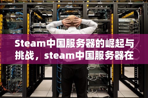 Steam中国服务器的崛起与挑战，steam中国服务器在哪