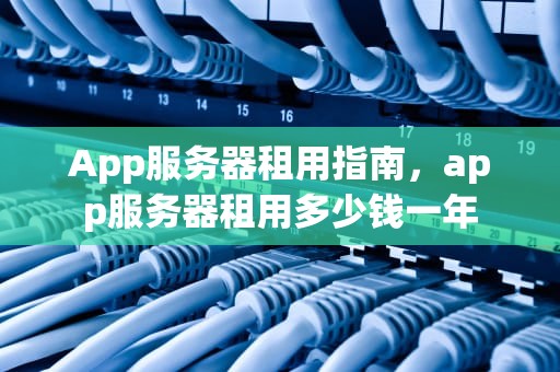 App服务器租用指南，app服务器租用多少钱一年