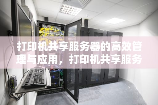 打印机共享服务器的高效管理与应用，打印机共享服务器怎么设置