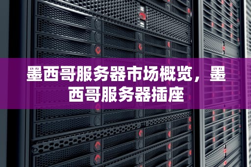 墨西哥服务器市场概览，墨西哥服务器插座