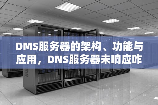 DMS服务器的架构、功能与应用，DNS服务器未响应咋办