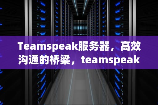 Teamspeak服务器，高效沟通的桥梁，teamspeak服务器价格