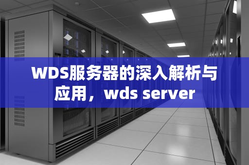 WDS服务器的深入解析与应用，wds server