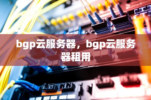 bgp云服务器，bgp云服务器租用