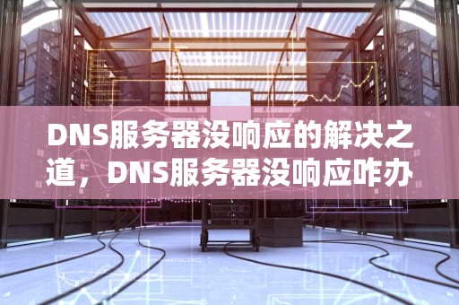 DNS服务器没响应的解决之道，DNS服务器没响应咋办
