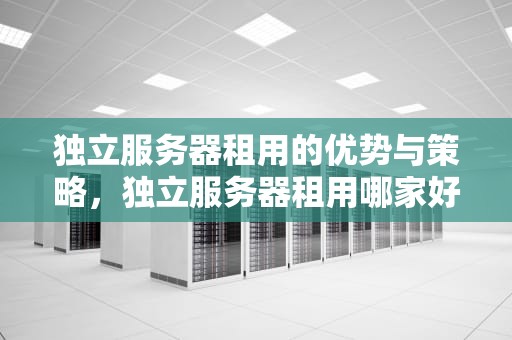 独立服务器租用的优势与策略，独立服务器租用哪家好