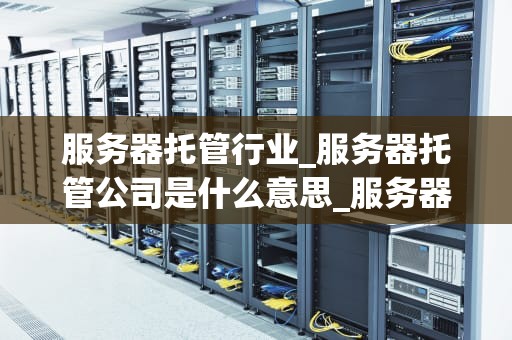 服务器托管行业_服务器托管公司是什么意思_服务器托管行业的现状与未来