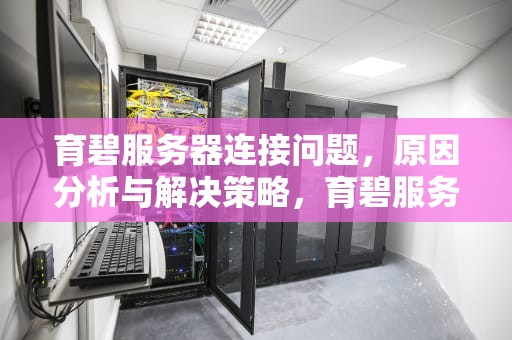 育碧服务器连接问题，原因分析与解决策略，育碧服务器连不上解决