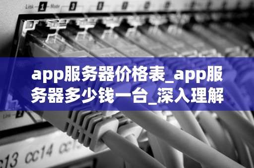 app服务器价格表_app服务器多少钱一台_深入理解App服务器价格表