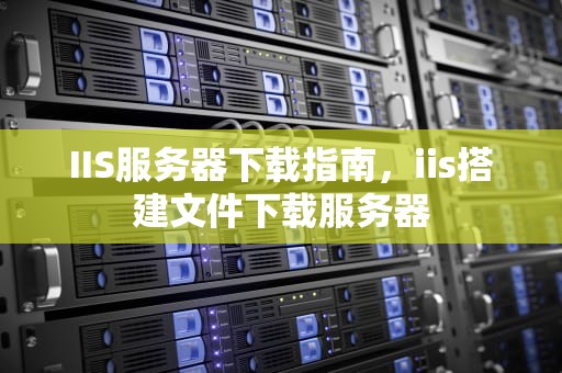 IIS服务器下载指南，iis搭建文件下载服务器