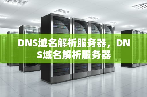 DNS域名解析服务器，DNS域名解析服务器