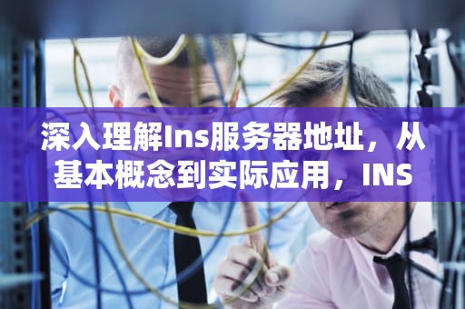 深入理解Ins服务器地址，从基本概念到实际应用，INS服务器地址是什么
