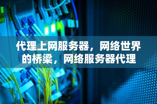 代理上网服务器，网络世界的桥梁，网络服务器代理