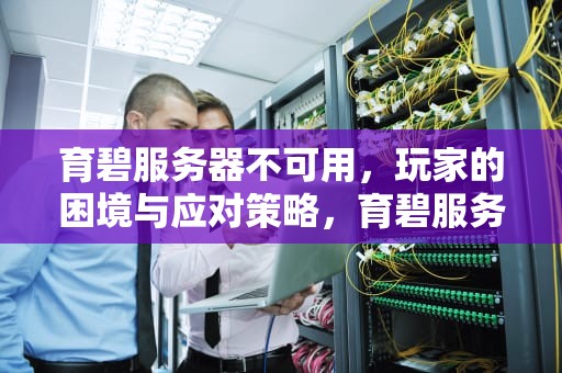 育碧服务器不可用，玩家的困境与应对策略，育碧服务器不可用怎么办