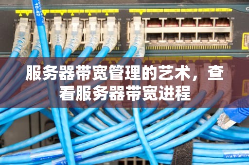 服务器带宽管理的艺术，查看服务器带宽进程