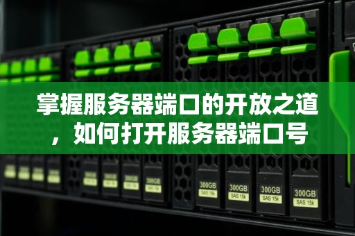 掌握服务器端口的开放之道，如何打开服务器端口号