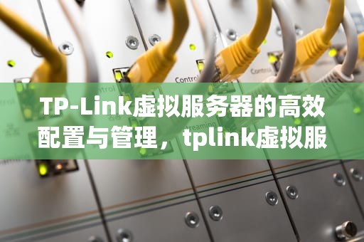 TP-Link虚拟服务器的高效配置与管理，tplink虚拟服务器设置方法