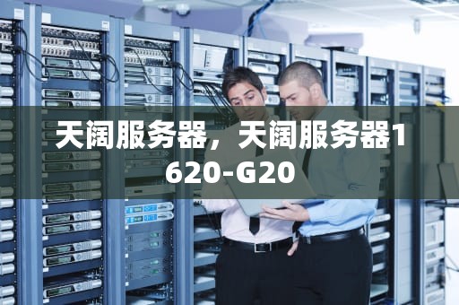 天阔服务器，天阔服务器1620-G20
