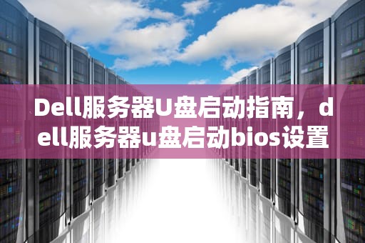 Dell服务器U盘启动指南，dell服务器u盘启动bios设置