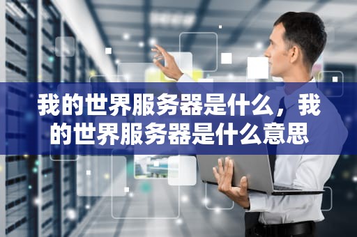 我的世界服务器是什么，我的世界服务器是什么意思