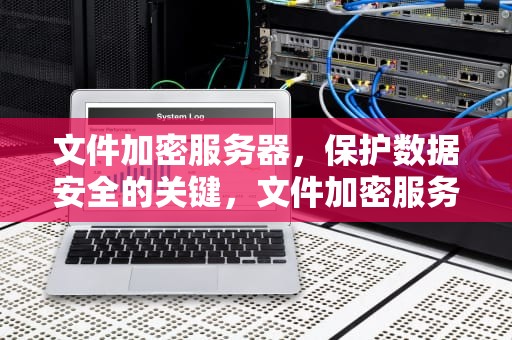 文件加密服务器，保护数据安全的关键，文件加密服务器是什么
