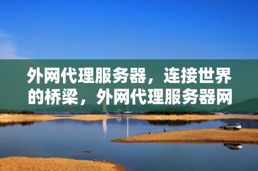 外网代理服务器，连接世界的桥梁，外网代理服务器网站