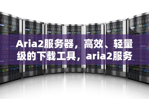 Aria2服务器，高效、轻量级的下载工具，aria2服务器下载