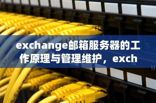 exchange邮箱服务器的工作原理与管理维护，exchange邮箱服务器怎么填