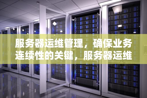 服务器运维管理，确保业务连续性的关键，服务器运维管理平台