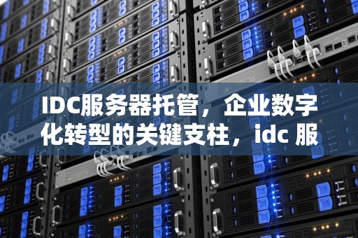 IDC服务器托管，企业数字化转型的关键支柱，idc 服务器托管