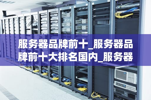 服务器品牌前十_服务器品牌前十大排名国内_服务器品牌前十名的深度解析