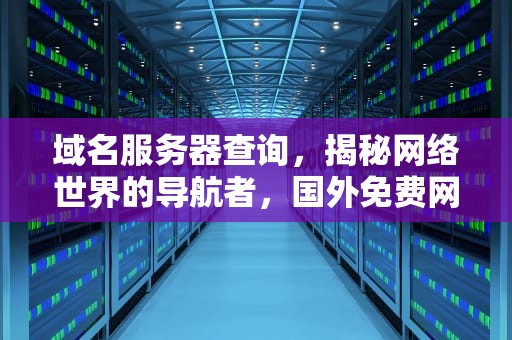 域名服务器查询，揭秘网络世界的导航者，国外免费网站域名服务器查询