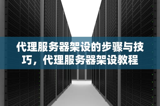 代理服务器架设的步骤与技巧，代理服务器架设教程