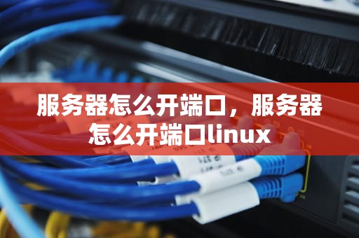 服务器怎么开端口，服务器怎么开端口linux