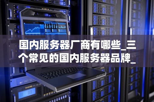 国内服务器厂商有哪些_三个常见的国内服务器品牌_国内服务器厂商的崛起与发展