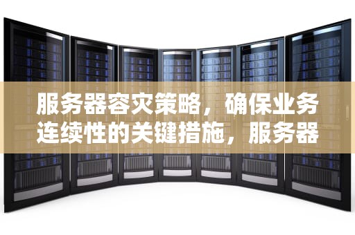 服务器容灾策略，确保业务连续性的关键措施，服务器容灾备份