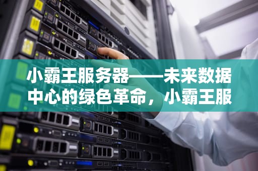小霸王服务器——未来数据中心的绿色革命，小霸王服务器什么意思
