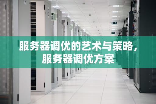 服务器调优的艺术与策略，服务器调优方案