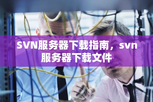 SVN服务器下载指南，svn服务器下载文件