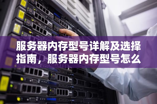 服务器内存型号详解及选择指南，服务器内存型号怎么看