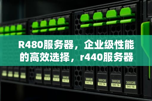 R480服务器，企业级性能的高效选择，r440服务器参数