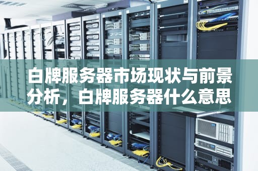 白牌服务器市场现状与前景分析，白牌服务器什么意思啊