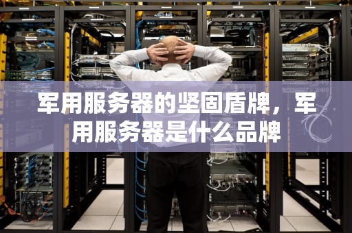 军用服务器的坚固盾牌，军用服务器是什么品牌