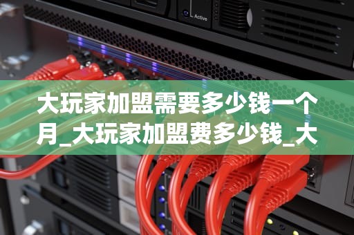 大玩家加盟需要多少钱一个月_大玩家加盟费多少钱_大玩家加盟需要多少钱一个月？