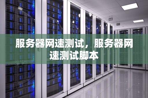 服务器网速测试，服务器网速测试脚本