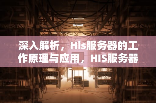 深入解析，His服务器的工作原理与应用，HIS服务器是什么意思